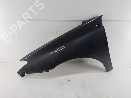 Left front fenders RENAULT LAGUNA III (BT0/1) 2.0 dCi (BT01, BT08, BT09, BT0E, BT0K, BT12, BT1C, BT1D,... | BP28751415C41 