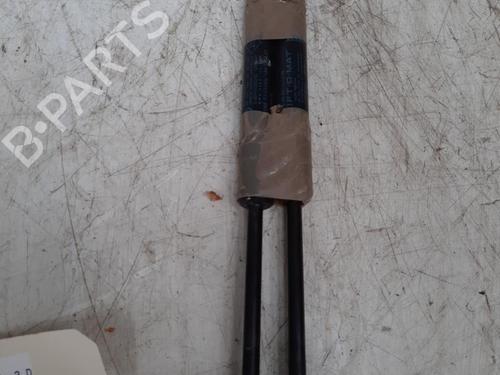 Used Hood lift support RENAULT SCÉNIC III (JZ0/1_) 2.0 dCi (JZ0Y, JZ26) (150 hp) 28789832