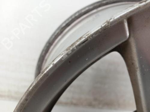 Rim RENAULT SCÉNIC III (JZ0/1_) 1.9 dCi (JZ0J, JZ1J, JZ1K, JZ1S) | BP29209008C45 