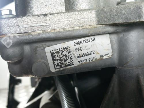 Motor RENAULT ZOE (BFM_) ZOE (88 hp) 28772874