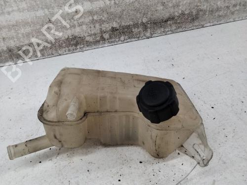 Used Expansion tank RENAULT SCÉNIC II (JM0/1_) 1.5 dCi (JM1E, JM16) (106 hp) 28781084