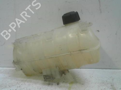 Used Expansion tank RENAULT KANGOO Express (FW0/1_) 1.5 dCi 90 (FW0G, FW05, FW08, FW11) (90 hp) 28765561