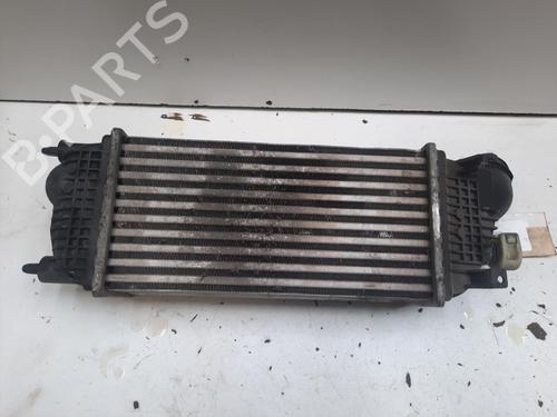 Intercooler CITROËN C5 III (RD_) 2.0 HDi (RDRHD8, RDRHDJ, RDRHR8, RDRHRJ) (136 hp) 28753680