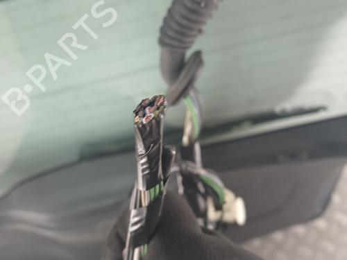 Tailgate RENAULT CLIO III (BR0/1, CR0/1) 1.5 dCi (BR17, CR17) | BP30706565C6