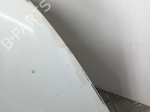 Right front fenders FORD TRANSIT CONNECT (P65_, P70_, P80_) 1.8 TDCi | BP29473504C42 