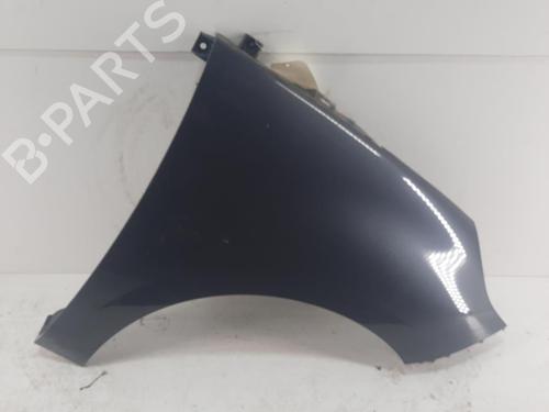 Right front fenders RENAULT SCÉNIC III (JZ0/1_) 1.5 dCi | BP28788659C42 