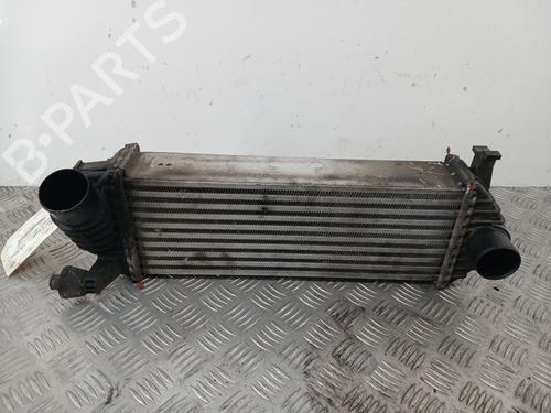 Used Intercooler RENAULT KANGOO / GRAND KANGOO II (KW0/1_) 1.5 dCi 90 (KW05, KW08, KW0G, KW11) (90 hp) 30329232
