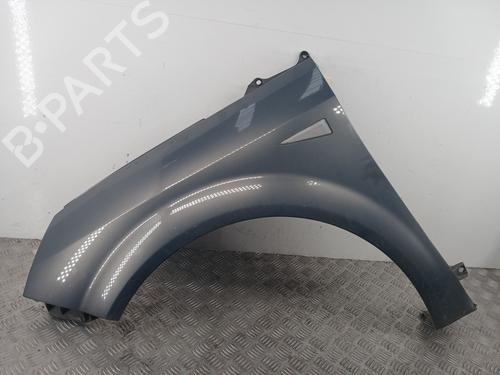 left-front-fenders-renault-grand-scenic-ii-jm01_-2004-2005-2006-2007-2008-2009-33175116 main image