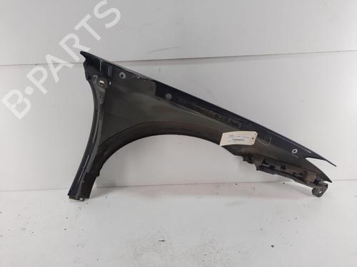 Left front fenders RENAULT LAGUNA III (BT0/1) 2.0 dCi (BT01, BT08, BT09, BT0E, BT0K, BT12, BT1C, BT1D,... | BP28751415C41 