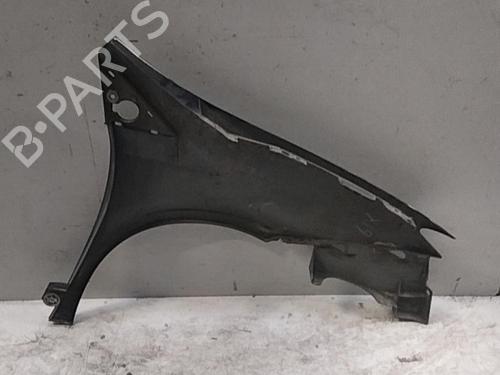 Left front fenders LANCIA PHEDRA (179_) 2.0 JTD (179.AXE1A) | BP28759958C41 