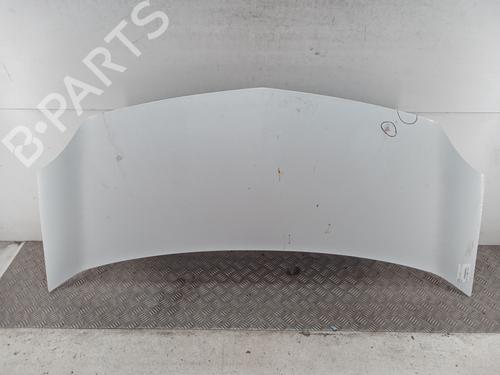 hood-renault-kangoo-express-fw01_-2008-33304648 main image