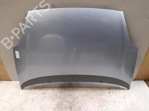 Used Hood FIAT GRANDE PUNTO (199_) 1.3 D Multijet (75 hp) 28786322