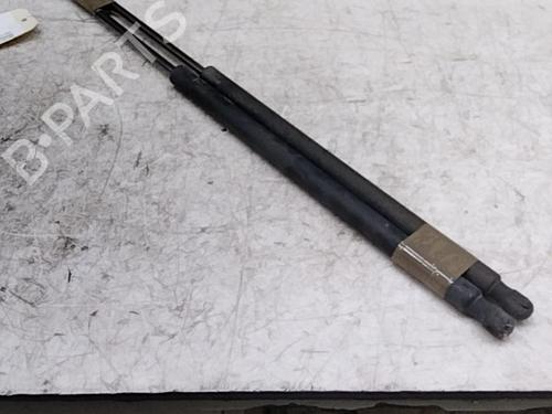 Used Tailgate lift support LAND ROVER RANGE ROVER SPORT I (L320) 2.7 D 4x4 (190 hp) 28764109