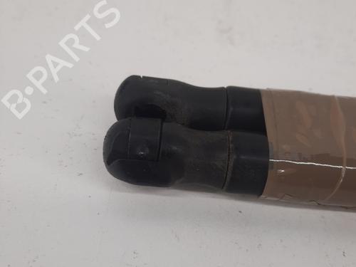 Used Tailgate lift support RENAULT MEGANE III Coupe (DZ0/1_) 1.9 dCi (DZ0N, DZ0J, DZ1J, DZ1K) (131 hp) 28773225