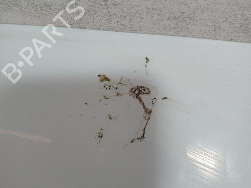 Used Tailgate Tailgate FORD FOCUS III Turnier 2.0 TDCi (163 hp) 30452572 30452572