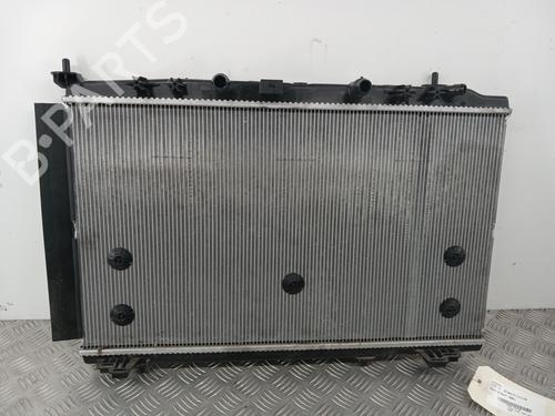 Køler PEUGEOT 208 II (UB_, UP_, UW_, UJ_) e-208 (136 hp) 29844013