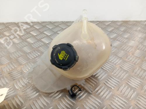 Used Expansion tank RENAULT TWINGO III (BCM_, BCA_) 1.0 SCe 70 (BCMB) (69 hp) 28739486