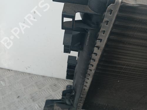 water-radiator-renault-laguna-iii-bt01-2007-2008-2009-2010-2011-2012-2013-2014-2015-31377000 main image