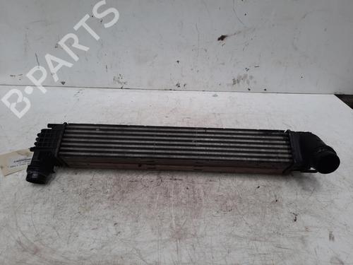 Used Intercooler RENAULT GRAND SCÉNIC III (JZ0/1_) 1.9 dCi (JZ0J, JZ0N, JZ1K, JZ1S) (131 hp) 28752601