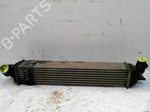 Intercooler RENAULT LAGUNA III Grandtour (KT0/1) 2.0 dCi (KT01, KT08, KT09, KT0K, KT12, KT1D, KT1W) (150 hp) 28777485