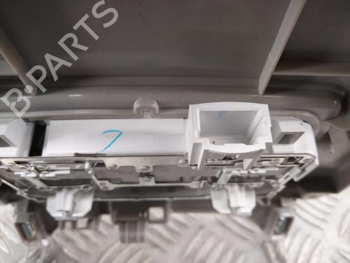 Interior roof light RENAULT KANGOO III Box Body/MPV 1.5 Blue dCi 95 (FJAB) | BP28779531I8