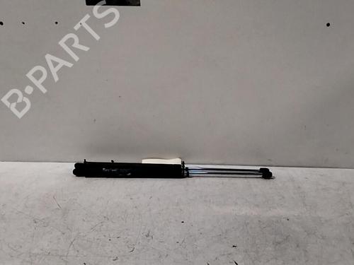 Tailgate lift support HYUNDAI TRAJET (FO) 2.0 CRDi | BP28771085C138 