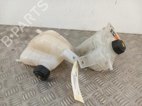 Used Expansion tank RENAULT KADJAR (HA_, HL_) 1.5 BLUE dCi 115 (HLA6) (116 hp) 28736903
