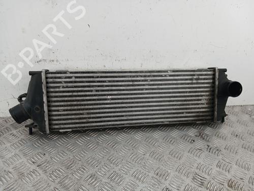 Intercooler NISSAN PRIMASTAR Van (X83) 2.0 dCi 115 | BP36446054M30 - Image 2