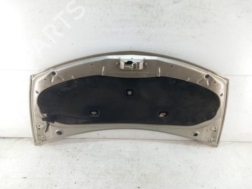 Capot Capot RENAULT CLIO III (BR0/1, CR0/1) 1.5 dCi (BR17, CR17) (86 hp) 28743848 28743848