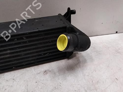 Intercooler ALFA ROMEO 166 (936_) 2.4 JTD (936AXA00, 936A3B00) | BP29850375M30