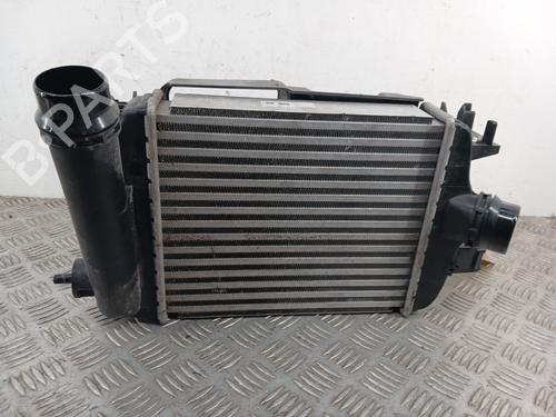 Used Intercooler Intercooler RENAULT CLIO V (B7_) 1.0 TCe 100 (B7MT) (101 hp) 33199850 33199850