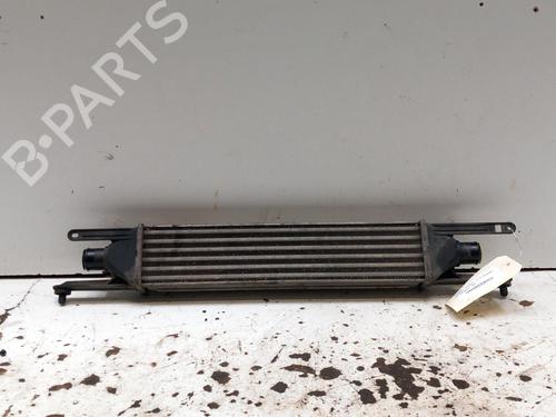 Intercooler FIAT GRANDE PUNTO (199_) 1.3 D Multijet | BP28778669M30
