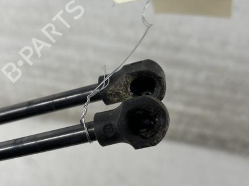 Tailgate lift support DACIA SANDERO II 1.0 SCe 75 (B8JC, B8JD, B8NC) | BP28734168C138 
