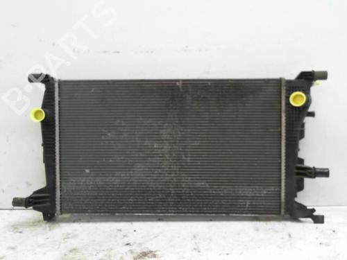 Køler RENAULT SCÉNIC III (JZ0/1_) 1.5 dCi (110 hp) 28777389