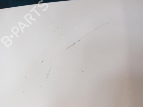 Hood RENAULT CLIO III (BR0/1, CR0/1) 1.5 dCi (BR17, CR17) | BP28750401C1