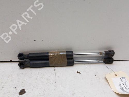 hood-lift-support-renault-zoe-bfm_-2012-28767276 main image