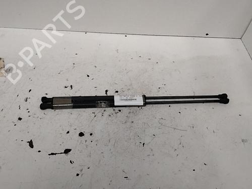Used Hood lift support RENAULT VEL SATIS (BJ0_) 3.5 V6 (BJ0R, BJ0V, BJ0U) (241 hp) 28757640