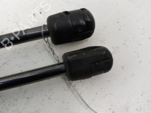 Tailgate lift support FORD FOCUS IV (HN) 1.5 EcoBlue | BP28745804C138 