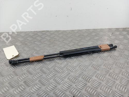 Used Tailgate lift support RENAULT LAGUNA III Grandtour (KT0/1) 1.5 dCi (KT0A, KT0R, KT02) (110 hp) 28736224