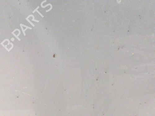 Used Hood TOYOTA AVENSIS Estate (_T25_) 2.0 D-4D (CDT250_, CDT250R) (116 hp) 28762472