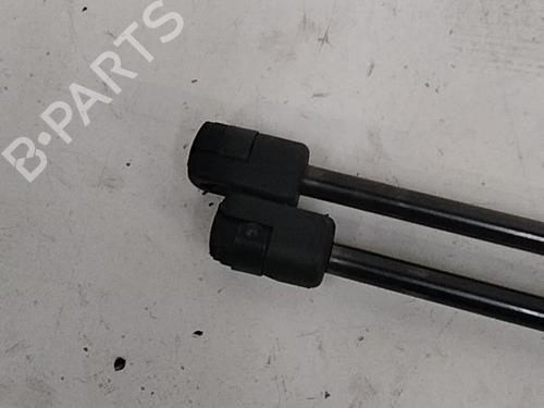 tailgate-lift-support-peugeot-1007-km_-2005-28747396 main image