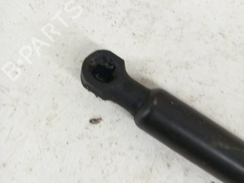 hood-lift-support-dacia-sandero-ii-2012-28743035 main image