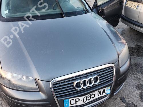 Used Parts AUDI A3 (8P1)    4600880