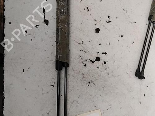 Used Tailgate lift support RENAULT MEGANE III Grandtour (KZ0/1) 1.5 dCi (KZ09, KZ0D, KZ1G, KZ29, KZ14, KZ1W, KZ10, KZ1F,... (110 hp) 28769144