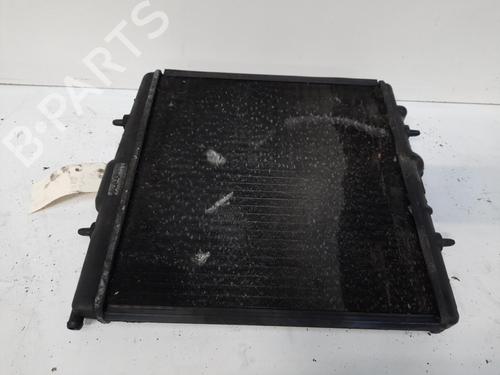Used Water radiator PEUGEOT 206 Hatchback (2A/C) 1.1 i (60 hp) 28770131