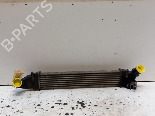 Used Intercooler Intercooler DACIA LOGAN MCV (KS_) 1.5 dCi (KS0W) (86 hp) 28794059 28794059
