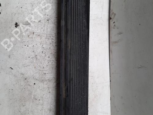 Used Intercooler RENAULT LAGUNA II Grandtour (KG0/1_) 2.0 dCi (KG1S) (173 hp) 28771635