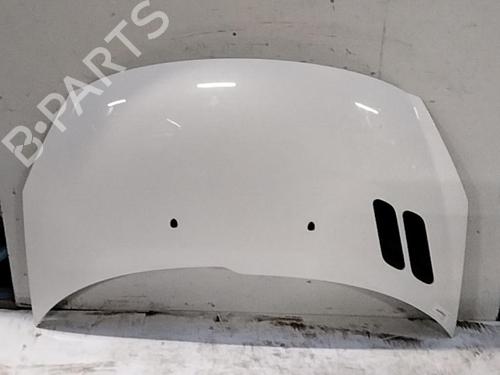 Used Hood PEUGEOT 206+ (2L_, 2M_) 1.1 (60 hp) 28784931