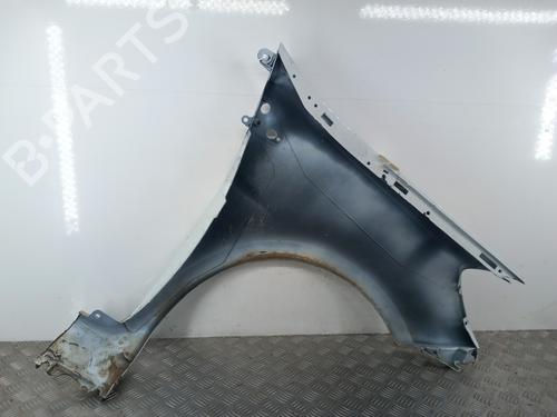 Left front fenders RENAULT CLIO III (BR0/1, CR0/1) 1.5 dCi (C/BR0G, C/BR1G) | BP29598147C41 