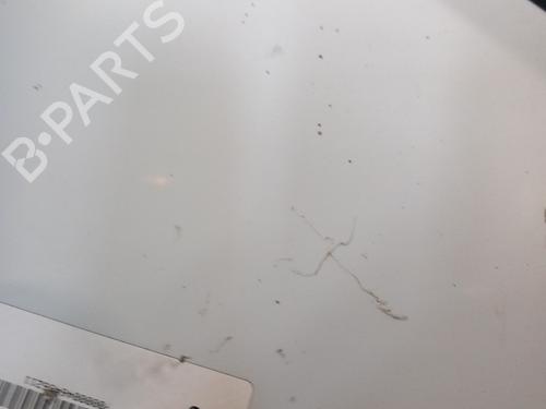 Hood RENAULT CLIO III (BR0/1, CR0/1) 1.5 dCi (BR17, CR17) | BP28750401C1